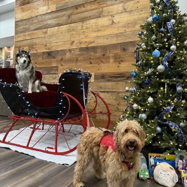 🎅🎄 Exciting News! Santa’s Sleigh Has Arrived to Beyond 20/20 Optometry! 🎄🎅

We’re thrilled to announce that Santa (with the help of some funny looking reindeer) has dropped off his sleigh here at the clinic to help us collect toys for those in need this Christmas season! 

✨ If you’d like to make a donation to What Kids Need Moncton Inc and spread some holiday cheer, please bring in a new, unwrapped toy to add to Santa’s sleigh. We’re helping make Christmas brighter for kids in our community, and your generosity will make all the difference! ✨

🎁 And that’s not all! 🎁

If any kids (or kids at heart!) want to see Santa’s sleigh up close or snap a picture, come on by! Santa’s sleigh is on display in our optical, and we’d love to see you!

🎅 Come visit, take a picture, and be part of this magical holiday spirit!

Let’s make this holiday season extra special by giving back and sharing the joy of Christmas. ❤️🎁
